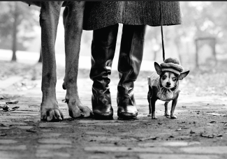 Elliott Erwitt joue les prolongations