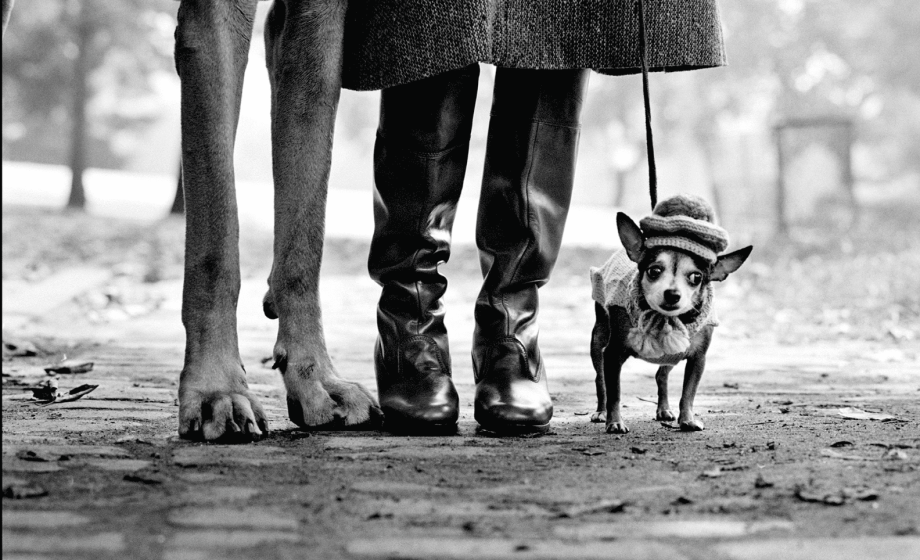 Elliott Erwitt joue les prolongations