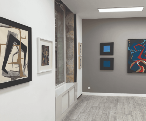 Exposition Guy de Lussigny : Côte à côte