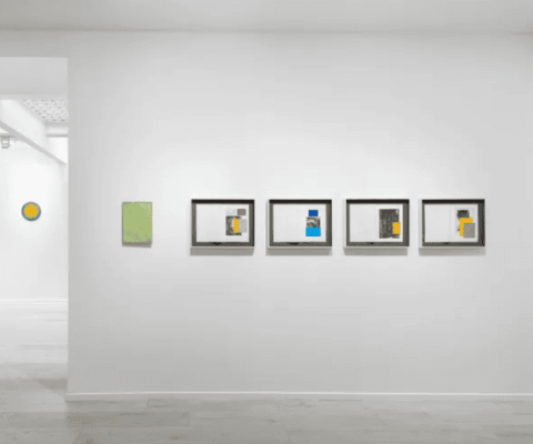 Exposition Matts Leiderstam à Paris : La grille et le regard