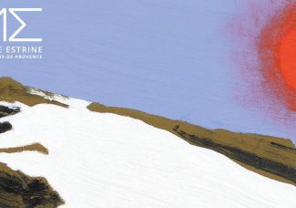 Exposition Marine Wallon, Ce lieu-là au Musée Estrine
