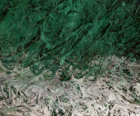 Entretien avec Alice Pallot