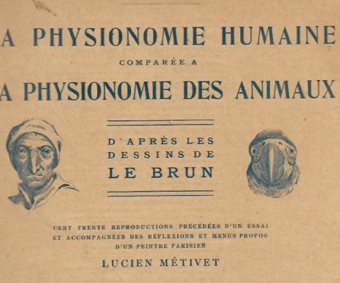 « Une dé/contamination du discours. Des portraits composites (Francis Galton) au morphing (Nancy Burson) »