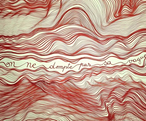 On ne dompte pas sa vague