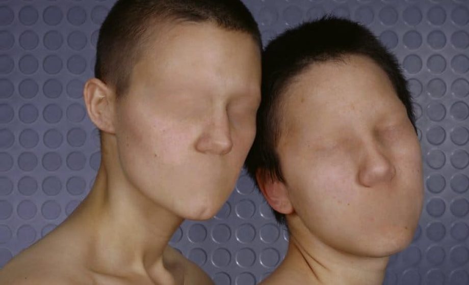 Vers le visage au fémininmasculin ?
